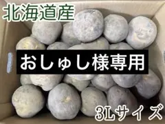 【おしゅし様専用】北海道産じゃがいも（きたかむい）　3Lサイズ20kg