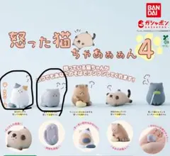 怒った猫ちゃあぁぁん4