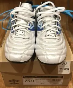 2025年最新】アクセレイターkl スパイクの人気アイテム - メルカリ