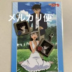名探偵コナン 漆黒の追跡者 メタルチャーム コレクション 毛利蘭 名探偵コナン 劇場版メタルチャーム コレクション 毛利蘭 限定品