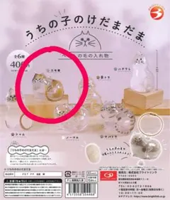 Item thumbnail for item 22250e64-83ec-4142-a55b-614f178da78e