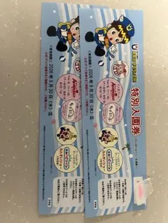東条湖おもちゃ王国の特別入園券２枚セット
