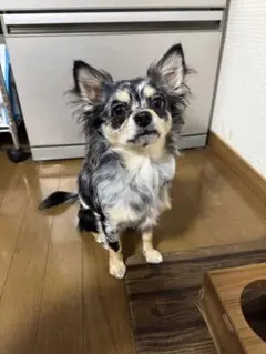 確認用