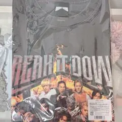 【即購入〇】RAMPAGE BREAK IT DOWN Tシャツ Lサイズ