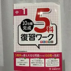 Item thumbnail for item 67d4f19a-7d9b-450f-98c3-04c8a994e827