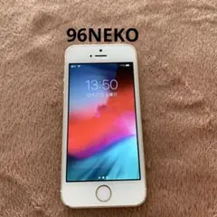 Item thumbnail for item b2ee7573-8555-4646-bd96-16c84a53c394