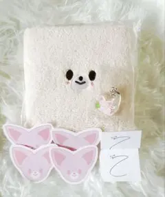 スキズ ペンミ 入場特典 アイエン フォクシニー