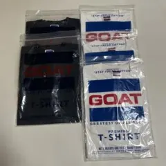 GOAT ポケット　無地　tシャツ shiro hanes プロクラブのサムネイル