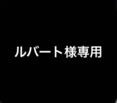 専用ページ