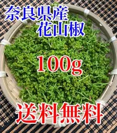 2026年最新】トゲなし山椒の人気アイテム - メルカリ ③花山椒100g 送料無料匿名配送朝どり無農薬葉なし下処理済み奈良県奥吉野産