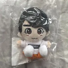 大西流星 ちびぬい