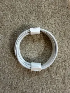 【純正品】AirPods Pro2のLightningケーブル