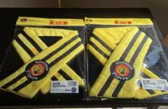 Item thumbnail for item 13d309d1-f4d9-4d06-afbe-a702d69ed8c8