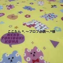 ここたん *. 〜プロフ必読〜.*様