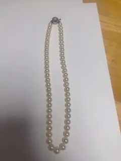 Item thumbnail for item 01247c59-5497-4520-8d83-ce3e8310d49a