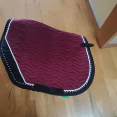 Item thumbnail for item 98d325ff-c36a-47a6-807a-fb5804a787bd