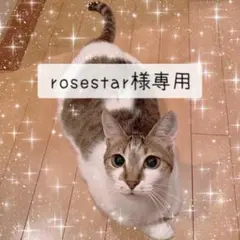 rosestar様専用ページ
