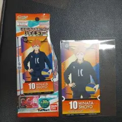 ハイキュー！チケットライクコレクション☆日向翔陽☆