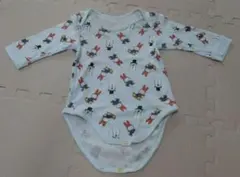 Item thumbnail for item 0b204131-ddea-4b61-a514-265bd89d8385