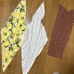 Item thumbnail for item 021a091a-aa50-4f3a-9a06-8fa48197a041