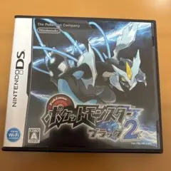 【ケース・説明書付き】ポケットモンスター ブラック2 DS 動作確認済