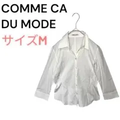 Item thumbnail for item a88ec753-799f-43b3-a78b-bc702d32f183