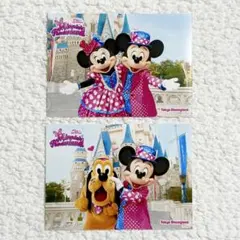 【匿名配送】ミニー ファンダーランド パルパルーザ スペシャルフォト 写真