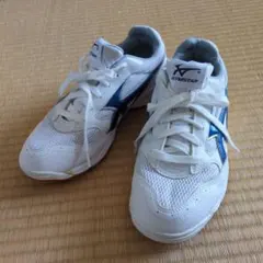 ムーンスター　ジムスター　シューズ