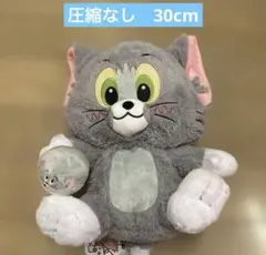 トムとジェリー トム　TDC BIGぬいぐるみ　30cm 新品