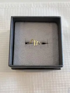 アクセサリー Haim GAGAN jewelry Circle Pierce 2025年最新】gagan リングの人気アイテム - メルカリ