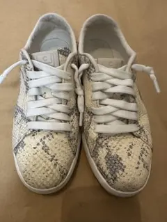コールハーン　スニーカー　パイソン柄　サイズ6 22.5-23cm