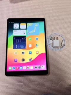 iPad Pro 10.5-inch 512 GB SIMロック解除済