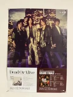 2026年最新】ポスター デッドオアアライブの人気アイテム - メルカリ