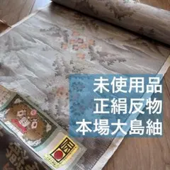 Item thumbnail for item c0a9d89a-b97c-4b5a-bcf9-875b7e137264