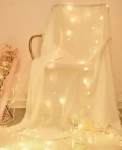 装飾用ストリングライト　2個セット　ウェルカムスペース