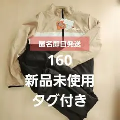 Item thumbnail for item 22b7576d-3441-4d9c-b1df-899a050fec91