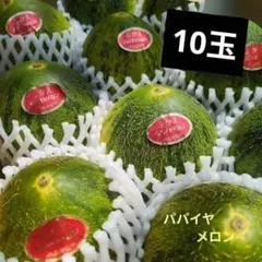 4/30-102、長崎産-パパイヤメロン●10玉●のサムネイル