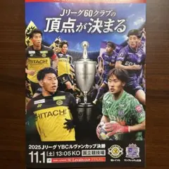 ルヴァンカップ 記念グッズ