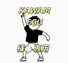 新品未開封スタンダードエコバッグfamiliar BAGGU