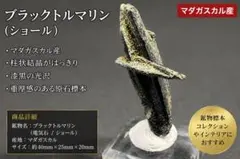 ブラックトルマリン(7.5ml) アラスカンエッセンス フラワーエッセンス