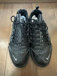 【Nike】00s Air Zoom Heaven 加水分解 02