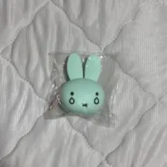 ミッフィー　ミントグリーンミニポーチ