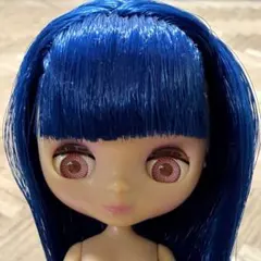 ブライス　本体 2025年最新】ブライス 本体のみの人気アイテム - メルカリ