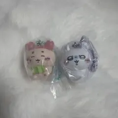 ちいかわビスケット モモンガ 古本屋