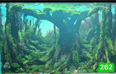水槽用流木レイアウト 。水槽用流木アクアリウムレイアウト。水槽用流木 。盆栽