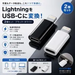 【ブラック&ホワイト】iphone タイプC 変換アダプタ データ転送対応