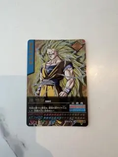 ドラゴンボールZ 孫悟空 レアカード 003-1 ドラゴンボールデータカードダス 初期爆レア 孫悟空 003-I