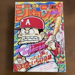 週刊少年ジャンプ 1991年25号※やまだたいちの奇蹟：こせきこうじ：新