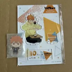 ハイキュー 日向翔陽 缶バッジ アクリルスタンド まとめ売り 2025年最新】日向翔陽 缶バッジの人気アイテム - メルカリ