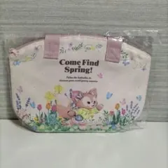 ディズニーシー ダッフィー&フレンズ スーベニアランチケース